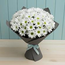 Букет цветов из:  Хризантемы #REPLACE_PRED# Ивановское